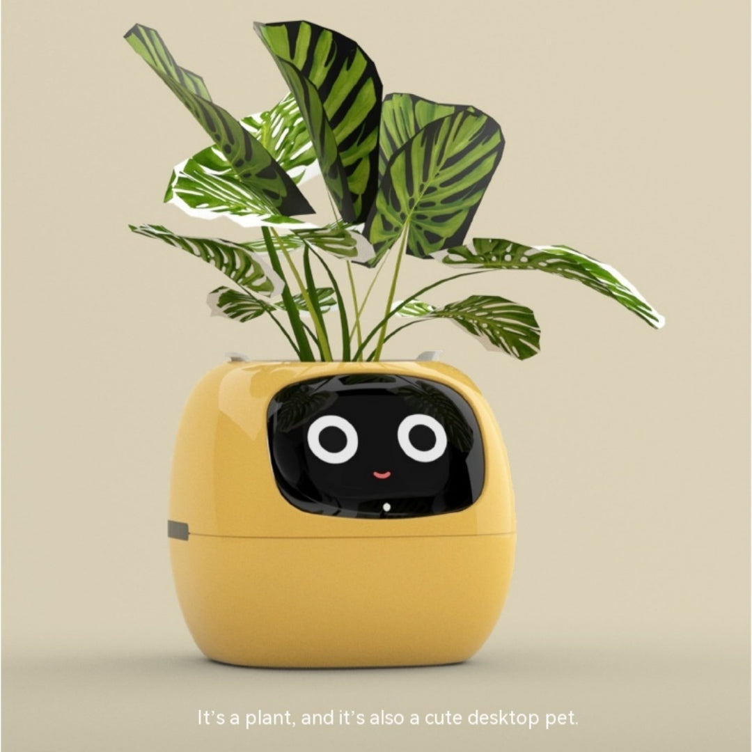 Smart Expression Desktop Plant Pot