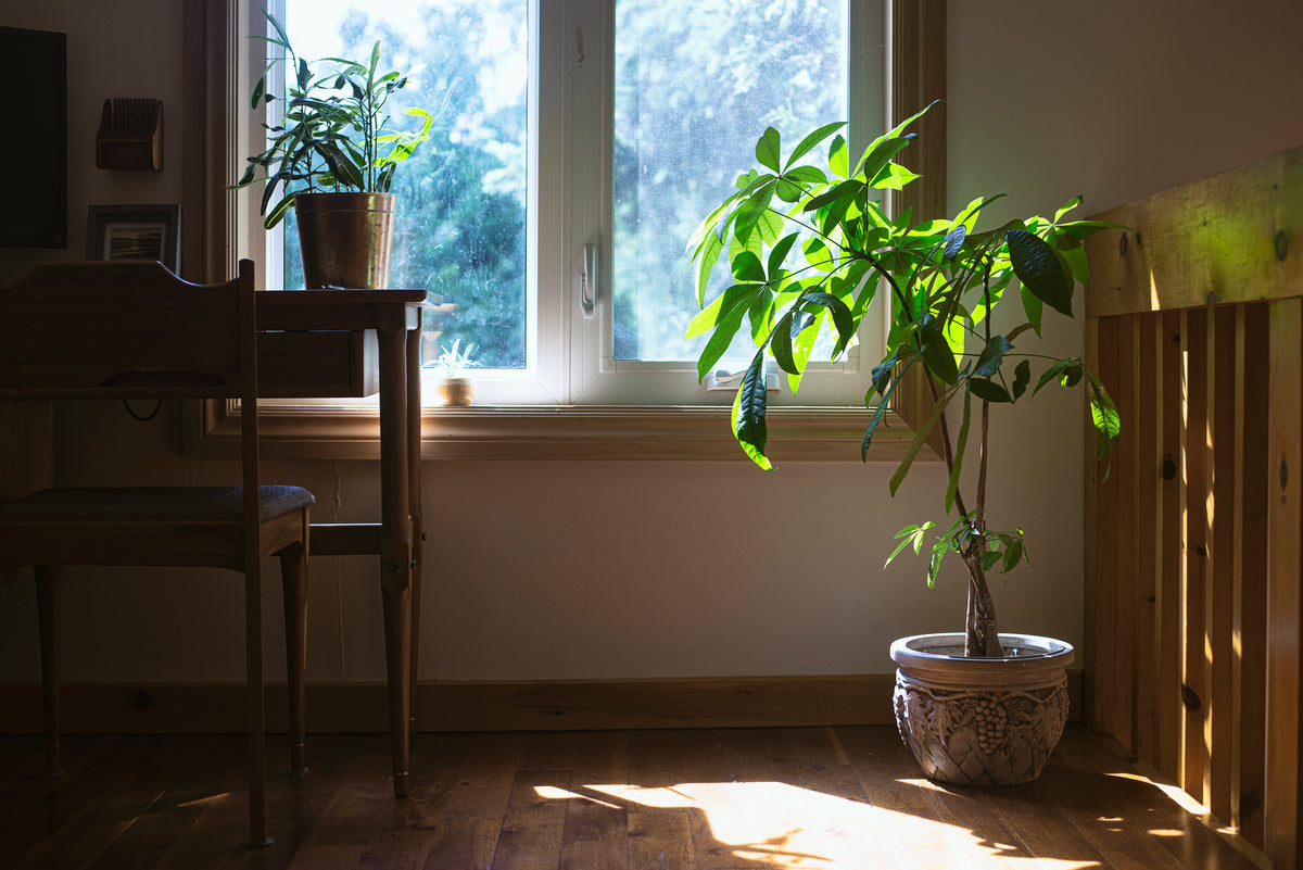 Designed to disappear into your space